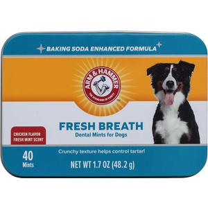 Arm & Hammer for Pets Dental Mints for Dogs, Fresh Breath | Get Fresh Doggie Breath Without Brushing, Way to Fresher Dog Breath | Chicken Flavor, 40 Count (Packaging may vary) (1.7 Ounce (Pack of 1)), EXP 27 02 05