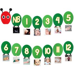 TaoBary Caterpillar Decorations Thick Felt First Birthday Party Banner Monthly Milestone Photo Banner for Baby from Newborn to 12 Months One Year Photo Garland Decorations for Monthly Garland