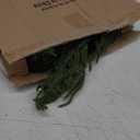 Alupssuc 9ft Christmas Garland, Real Touch Norfolk Pine Garland - Pine Garland, Artificial Greenery Christmas Garland for Mantle, Table, Fireplace, Indoor, Outdoor Christmas Decorations