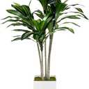 Artificial Dracaena Tree 5FT with White Tall Planter - Faux Tree Tall Fake Floor Plant in Pot-Artificial Plants Indoor for Home Office Living Room Dcor (Dracaena 5ft)