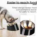 SuperDesign Mess Free 15° Slanted Bowl for Dogs and Cats, Tilted Angle Bulldog Bowl Dog Feeder, Non-Skid & Non-Spill, Easier to Reach Food L/2 Cup Dark Black
