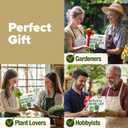 HOME GROWN Bonsai Tree Kit  Grow 4 Bonsai Types Indoors with Complete Starter Kit Including Pots Peat Pellets and Bonus Grow Guide  Unique Gardening Gift for Men Women Beginners