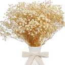 Dried Babys Breath Bulk Natural Dried Gypsophila Flowers White Babys Breath Stems for Home Decor, Weddings, Crafts