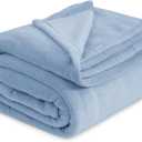 Bedsure GentleSoft Fleece Bed Blankets Queen Size Light Blue - Soft Lightweight Plush Fuzzy Cozy Luxury Blanket Microfiber, 90x90 inches