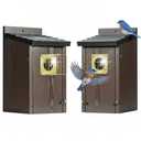 2pk Fortress Bluebird House for Outdoor Clearance - Mesh Cage Predator Guard - Metal Base & Brass Guard - Cedar Birdhouse for Bluebirds, Finches, Swallows Carbonized Outdoor 5 Years Usage 6"x7"