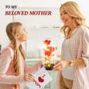 WINTERCRUSH Premium Light-Up Glass Rose - Perfect Birthday,Mother's Day,Valentine's for Women,Mom,Wife,Grandma,or Girlfriend - Colorful Rainbow Rose,Ideal for Home Decor (Red)