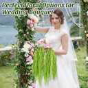 Suncalla 12 Pcs Green Spring Natural Dried Amaranthus Hanging Flowers Amaranthus Artificial Flowers for Wedding Arch Bouquet Floral Garland Wall Home Decoration (23 Inch)