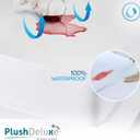 PlushDeluxe Premium Bamboo Mattress Protector Queen Size, Waterproof, & Ultra Soft Breathable Noiseless Washable Bed Mattress Cover for Comfort & Protection - White