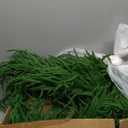 9FT Artificial Norfolk Pine Garland, Realistic Christmas Greenery Garland for Mantle, Staircase, Banister, Fireplace, Wall, Door, Table, Indoor & Outdoor Holiday Xmas Decortions