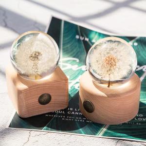 DESHINTKE Real Dandelion Specimen with Wood Round Base Paperweight Desktop Decor Decoration (Style2)
