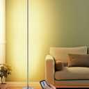 EDISHINE LED Floor Lamp with Remote, 57.5" Minimalist Dimmable Slim Corner Light, Tall Floor Lamps for Living Room, Bedroom, Office, 3000K Warm White Light (Silver)