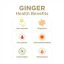 7 x GIN GINS Original Ginger Chews  Natural Fresh Ginger Candy by The Ginger People  Individually Wrapped Healthy Candy  Original Flavor  3oz Bag (Pack of 1) (EXP 01/18/28)