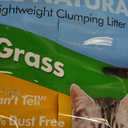 SmartCat All Natural Clumping Cat Litter, 20 Pound (320oz 1 pack) - Alternative to Clay and Pellet Litter - Chemical and 99% Dust Free - Unscented and Lightweight