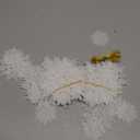 36pcs Snowflakes-Christmas Tree Decorations, Snowflake Ornaments for Tree, Plastic Glitter White Snow Flakes Ornaments, Christmas Indoor Winter Wonderland Decor, White