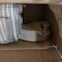 Two Level Sisal Cat Scratcher Bed