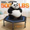 ANCHEER 50" Trampoline - Rebounder Trampoline for Adults with Bungees