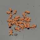 200pcs1 Mini Plastic Baby Party Preference Baby Shower, Ice Games, Baby Game Decoration Party