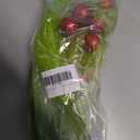 2 x Artmag 8 Pcs Christmas Tree Topper, 17 Inch Red Green Artificial Green Stems Tree Picks Ornaments with Red Ball for Christmas Holiday Fireplace Wreath Decorations