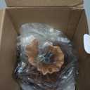 200ml Essential Oil Diffuser for Home, Wood Grain Cover Aromatherapy Diffuser, Cool Mist Humidifier with Safe Auto Shut-Off and 2 Mist Modes & 7 Color LED Night Lights for Office Room (VASE01)