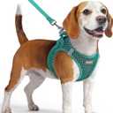 Eagloo Dog Harness and Leash Set, Step in Puppy Vest with Breathable Soft Mesh, Walking Reflective Pet Harness for Dogs, Forest Green, M