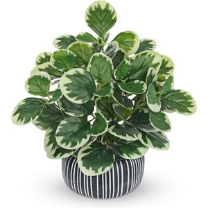 13" Artificial Plants Indoor Small Fake Plant in Ceramic Pot, Silk Plants for Home Decor Indoor, Faux Peperomia Potted Plant for Shelves, Desks, Home, Room, Office, Bedroom, Entryway, Tabletop Decor