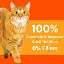 IAMS Proactive Health Dry Cat Food, Healthy Cat Food Dry Recipe for Adults, with Chicken 7 lb. Bag (EXP 07/18/27)