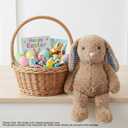 WEIGEDU Rabbit Bunny Stuffed Animals Plush Toys for Kids Boys Girls Birthday Bedtime Christmas Easter Gifts