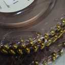 PLASTICPRO 32 Piece Combo Plastic Dinner Plates Disposable Plastic Fancy Heavy Duty Party Dishes 7 inch and 10 inch, Translucent Rose and Gold Beaded