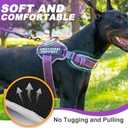 Neck Padded Service Dog Vest Harness and Leash Set, No Pull Adjustable Service Pet Harness with 8 Dog Patches, Reflective in Training Easy Control Pet Vest with 5ft Dog Leash for Medium & Large Dogs (Purple)