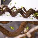 Bendable 63in Artificial Tree Twigs Cane Wood Vine Branches Fake Plants Trunk Garland with Leaves for Home Wedding Garden Wall Hanging Mantel Christmas Thanksgiving Day Decoration