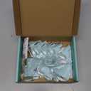 Corner Protectors for Baby (12 Pack) - Patented - New & Improved Edge Protector for Baby  Transparent Corner Protectors - Baby Safety Products to Baby Proof Corners and Edges