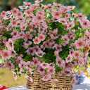 trytuny Artificial Flowers for Outdoor, UV Resistant Fake Silk Flowers, Realistic Faux Plants for Outside Indoor Porch Patio Window Box Planter Home Decor (20, Pink)