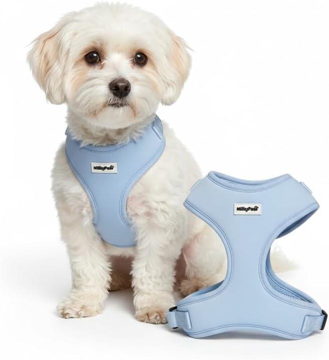 Dog Harness Soft Adjustable Vest for Dogs & Cats, No-Pull, No-Choke, Breathable Mesh, Lightweight, Comfortable Pet Harness Solid Blue, XS (5-9 Lb)