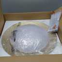 Dimmable Mid Century Modern Ceiling Light,5CCT LED White and Gold Semi Flush Mount Ceiling Lighting, for Kitchen Bedroom Hallway Bathroom 2700K-6000K 15.75 in