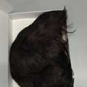 Men Short Brown Wig Handsome Male Daily Costume Synthetic Full Wigs Natural Brown Hair Replacement Wig(Fit 21inch-22.5inch Head Circumference)