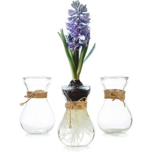 Small Glass Vases for Centerpieces - Hewory 3pcs Clear Mini Hyacinth Avocado Growing Bud Vase Bulk, Cute Tiny Flower Bulb Forcing Plant Containers Set for Wedding Home Living Room Table Decorations