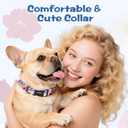 3 x Kazazoo Dog Collar Cute and Soft Nylon Puppy Collar Girl, Adjustable Dog Collars for Small Medium Dogs, Blue and Pink Flowers-S