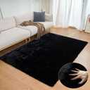 Black Fluffy Living Room Furry Rugs for Living Room Washable Shaggy Area Rugs for Bedroom 4x6 Rug for Nursery Decor