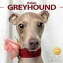 2026 Wall Calendar Italian Greyhound Planner Calendar, Hangable Monthly Wall Calendar with Large Blocks for Organizing & Planning, Academic Schedule, Home, Office & family, Thick & Sturdy Paper (12"x24" Open)