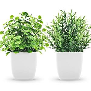 ZJIA 2 Pack Fake Plants Small Artificial Greenery Faux Plants Indoor for Home Farmhouse Bathroom Shelf Decor