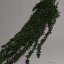 6 Pcs Artificial Succulents Hanging Plants, Fake String of Pearls Greenery Plants, Decoration for Wall, Home, Backdrop, Garden, Indoor and Outdoor