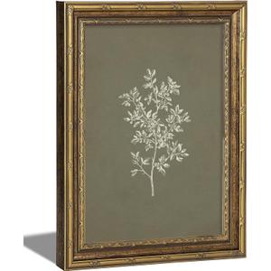 Vintage Framed Olive Branch Wall Art - Retro Gold Frame Botanical Illustration Print Picture - Damage-Free Hook and Loop Hanging Olive Branch Wall Art Decor for Living Room Farmhouse 16x24 inch