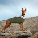 Lelepet Warm Dog Coat Waterproof Dog Jacket for Extra Large Dogs Reflective Fleece Vest with Adjustable Buckle Hook & Loop Windproof Cold Weather Coats for Small Medium Large Dogs, Army Green, XXXL (3XL)