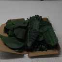 Palm Leaves, 108 Pcs 6 Kinds Artificial Palm Leaves Monstera Tropical Leaves Decor, Green Leaves for Jungle Hawaiian Luau Safari Party Table Wedding Birthday Theme Party Decorations