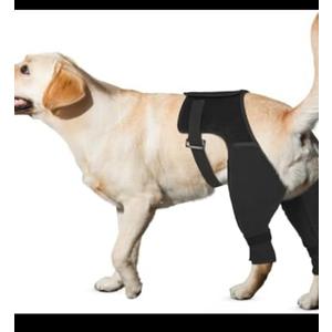 Dog Recovery Sleeve Rear Leg for Stop Licking, Recovery Dog Pants for Wound ACL TPLO After Surgery,Cone Alternative Protective Sleeve, Comfortable & Breathable, L