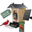 Perky-Pet Solar Powered Smart Bird Feeder with Camera - Squirrel-Resistant, 3.2L Capacity, Motion Activated 1080p HD WiFi Live Stream Camera, SPCAM, SPCAMSLR - Camera Feeder Gift Idea, Yellow