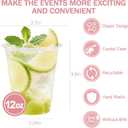 BYSNOW 12 oz Clear Plastic Cups - 300 Count Disposable Wine Cup for Party, 12 Ounce Drinking Cups Bulk, PET Cocktail Glasses for Smoothie, Fruit, and Cold Beverage