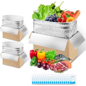 2 Pack Reusable Insulated Shipping Boxes with Foil Liners, Thermal Cooler Cartons for Cold Pack Shipping, Hot & Frozen Food Delivery, 12"x6.9"x8.1"