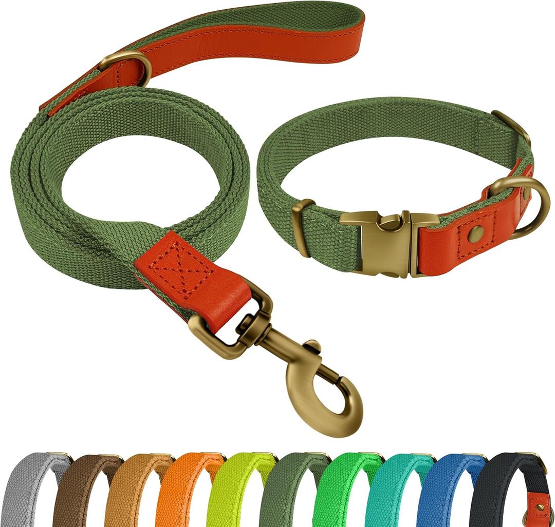 Nylon Dog Collar and Leash Set Durable - Adjustable with a Secure Fastening, Comfortable and Long - Lasting, Ideal for Walking, Training, and Outdoor, Green, XL
