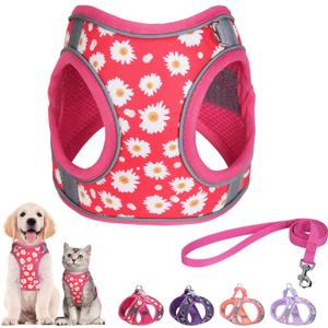 Step in Dog Harness and Leash Set, Flower Adjustable Easy Walk Puppy Harnesses, Soft Mesh Pet Vest Harness Small Size Dog Adjustable No Pull Dog Harness for Dogs(Rose red, S)